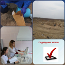 Итоги работы Астраханского филиала в сфере земельного надзора  за 2019 год