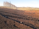 В Астраханской области на землях сельскохозяйственного назначения по результатам выездного обследования выявлено существенное снижение плодородия почв