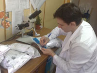 Информация о результатах карантинного фитосанитарного обследования подкарантинной продукции на территории Ростовской области