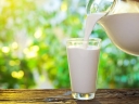 Определение жирнокислотного состава молочной продукции