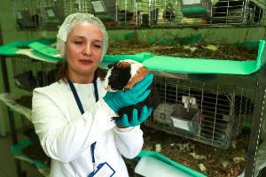Превентивные лечебные мероприятия в борьбе с паразитарными заболеваниями лабораторных животных