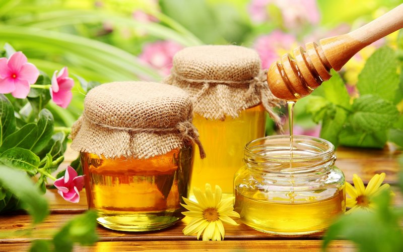 Натуральный мёд — советы профессионалов