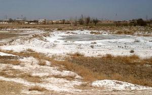 На территории Астраханской области установлена сильная степень засоления плодородного слоя почвы