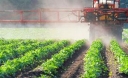 Результаты деятельности Ростовского референтного центра Россельхознадзора в сфере безопасного обращения с пестицидами и агрохимикатами за 9 месяцев 2023 года