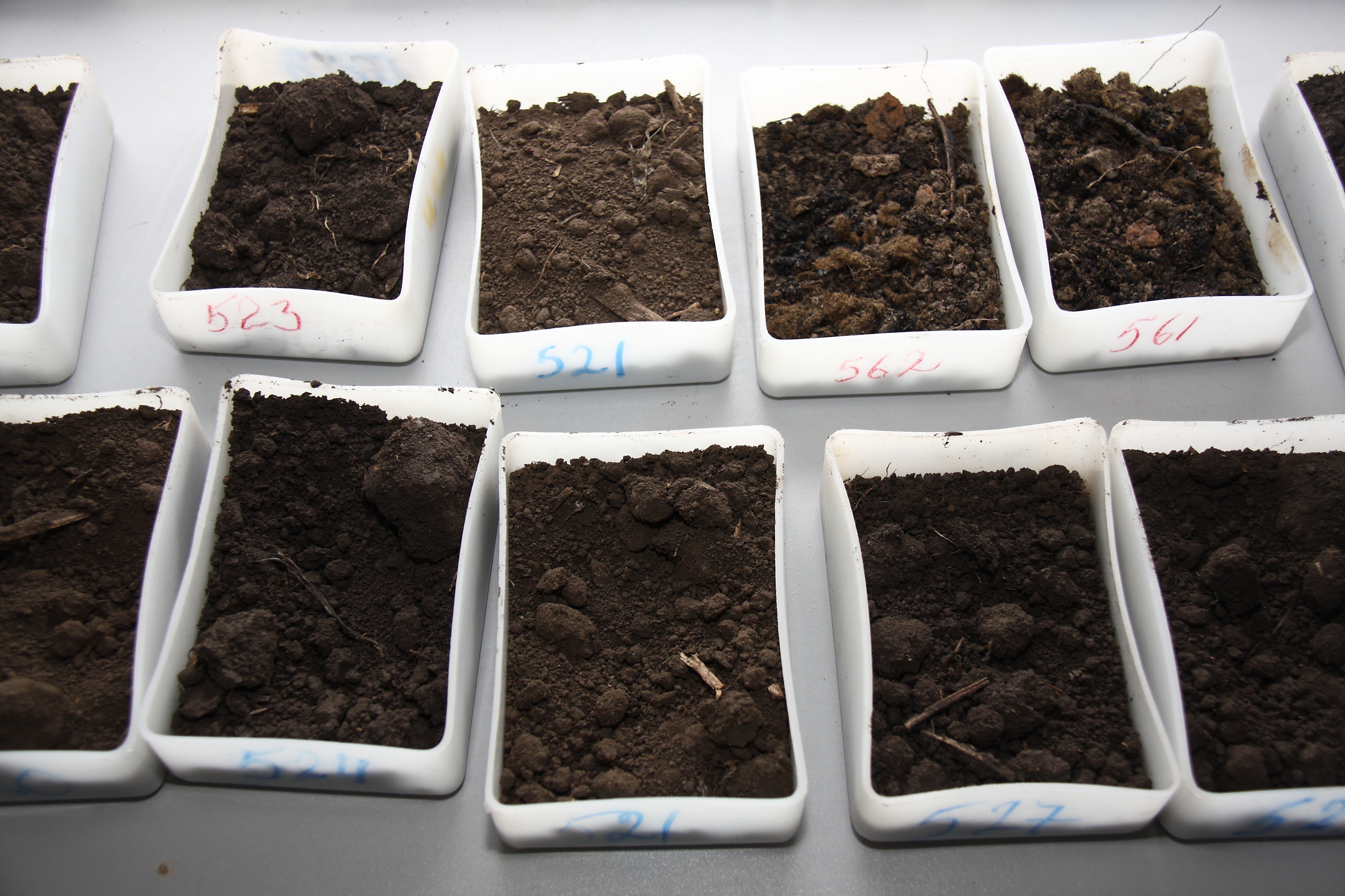 Санитарно-микробиологический контроль почвы