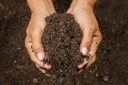 Значение показателя предельно-допустимой концентрации (ПДК) в вопросах охраны почв и обеспечения экологической безопасности
