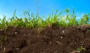 Плодородие почв – важнейший ресурс человечества