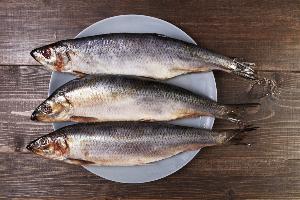 Вибриозы – болезни рыб и человека