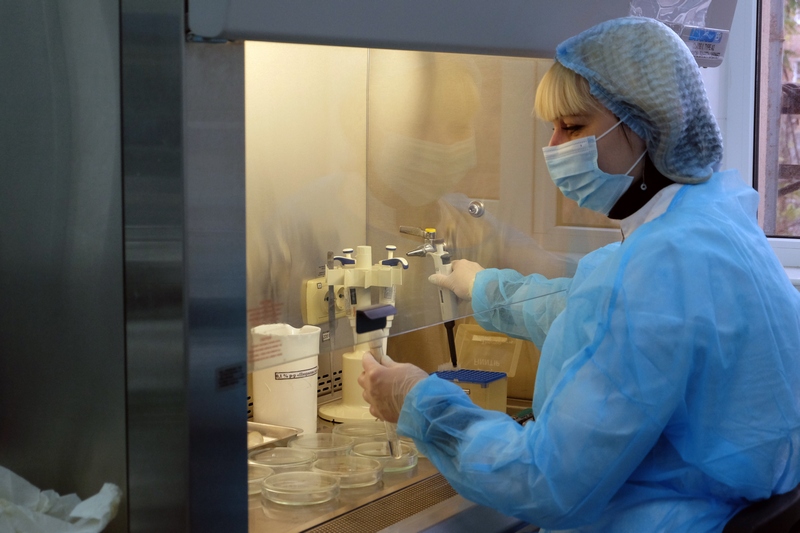 Об обнаружении антибиотиков в сыре, отобранном на территории Волгоградской области