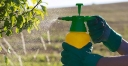 Ввоз на территорию Астраханской области незарегистрированных в Российской Федерации пестицидов, противоречит законодательству
