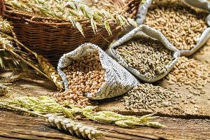 Исследования зерновых культур и кормов на показатель дезоксиниваленол
