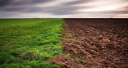 В Волгоградской области обнаружены места предположительного слива бытовых отходов на земли сельхозназначения
