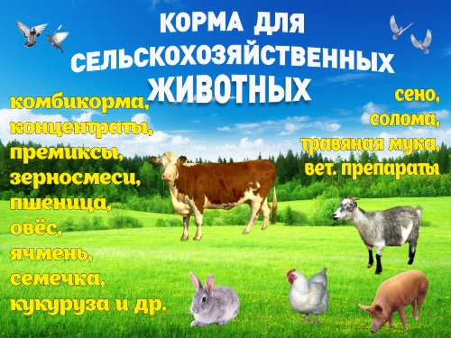 Декларирование сельхозпродукции и кормов на юге России — итоги 11 месяцев