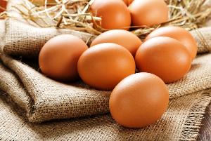 Диетолог рассказал, как не заразиться сальмонеллёзом от яиц