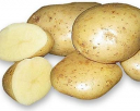 О выявлении заражения семенного картофеля