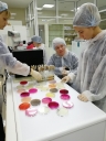 Волгоградские микробиологи постоянно повышают квалификацию