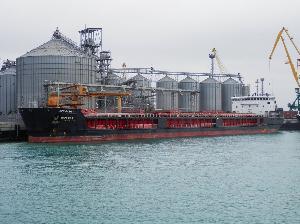 Экспорт зернобобовых культур через морской торговый порт «Оля»