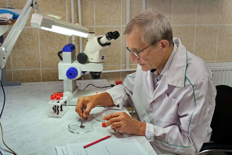 Итоги работы Испытательной лаборатории Волгоградского филиала в области карантина растений за июль 2018 года