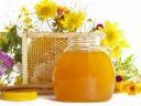 В Астраханской области в двух образцах цветочного мёда обнаружено высокое содержание гидроксиметилфурфураля