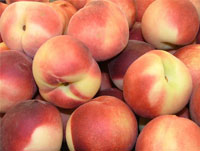 Восточная плодожорка обнаружена в плодах персика
