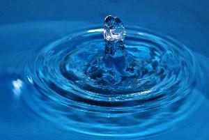 Взаимосвязь влияния паводка на качество питьевой воды, сохранности здоровья человека, животных и их заболеваемости