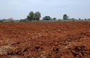 Типы почв Ростовской области: каштановые почвы и их свойства