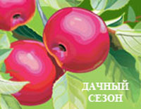 Приглашаем ростовчан и гостей нашего города на осеннюю выставку «Дачный сезон»