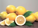 Всё о лимонах