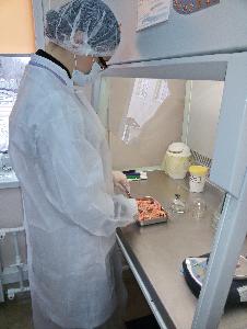 Итоги исследований сектора микробиологических, иммуноферментных и молекулярных видов испытаний испытательной лаборатории  Волгоградского филиала по плану пищевого мониторинга в 2018 году