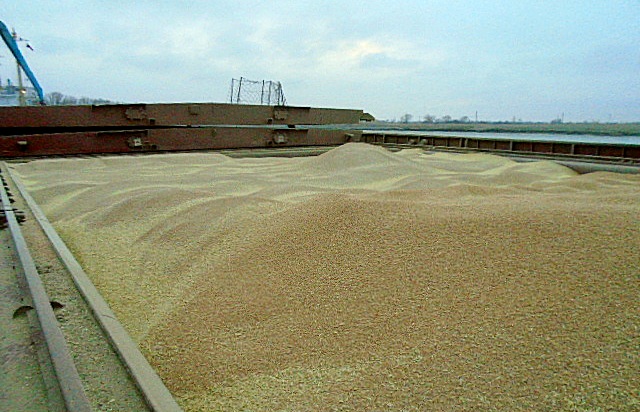 Около 445 тыс. тонн сельхозгрузов экспортировано в августе через Ростовский речной порт