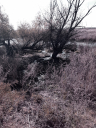 На территории Астраханской области выявлено микробиологическое загрязнение земель сельскохозяйственного назначения 