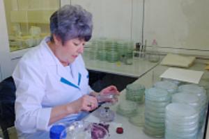 Специалисты испытательной лаборатории Волгоградского филиала готовятся к расширению области аккредитации в сфере карантина растений