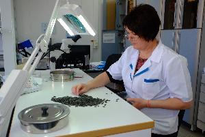 С начала года специалистами Ростовского референтного центра Россельхознадзора в 216 пробах семян выявлены несоответствия требованиям посевных стандартов 
