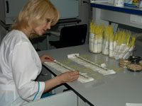 Информация о результатах лабораторных испытаний образцов семян и растениеводческой продукции