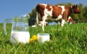 Несоответствие подлинности молока коровьего сырого по жирнокислотному составу