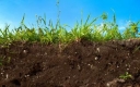 Основные показатели почвенного плодородия. Органическое вещество почвы.
