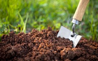 Структура почвы – один из факторов, определяющих её ценность