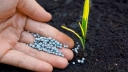 Фосфорные, калийные и комплексные удобрения для повышения плодородия почвы