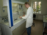 Информация о результатах лабораторных испытаний образцов растениеводческой продукции в период с 9 по 12 февраля 2009 года