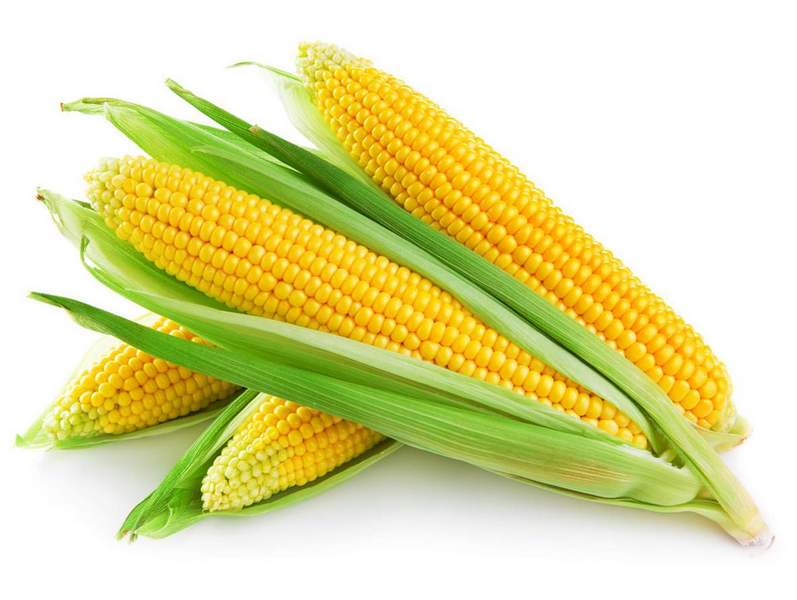 Овощ, десерт или злак — вареная кукуруза
