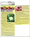 Проблемы выращивания цветной и брюссельской капусты