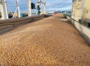 За апрель через порты Астрахани отгружено 186 тысячи тонн экспортного зерна
