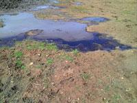 Обнаружение нефтепродуктов очень высокого уровня загрязнения на земельном участке сельскохозяйственного назначения в Волгоградской области