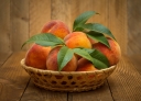 В Волгоградской области в партии персиков обнаружена восточная плодожорка