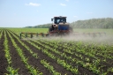 Применение удобрений на почвах Волгоградской области в начальный период развития растений