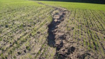 Актуальные проблемы почвенного покрова сельхозугодий в Ростовской области