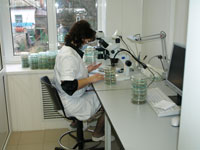 Информация о результатах лабораторных исследований образцов семян и растениеводческой продукции
