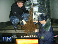 О результатах обследования подкарантинной продукции на территории Ростовской области с 13 по 19 февраля 2009 года