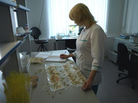 Информация о результатах лабораторных испытаний образцов растениеводческой продукции и семян