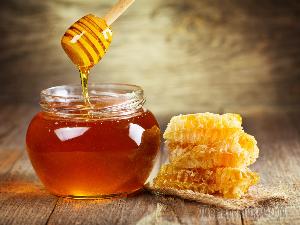 Обнаружение антибиотиков в мёде
